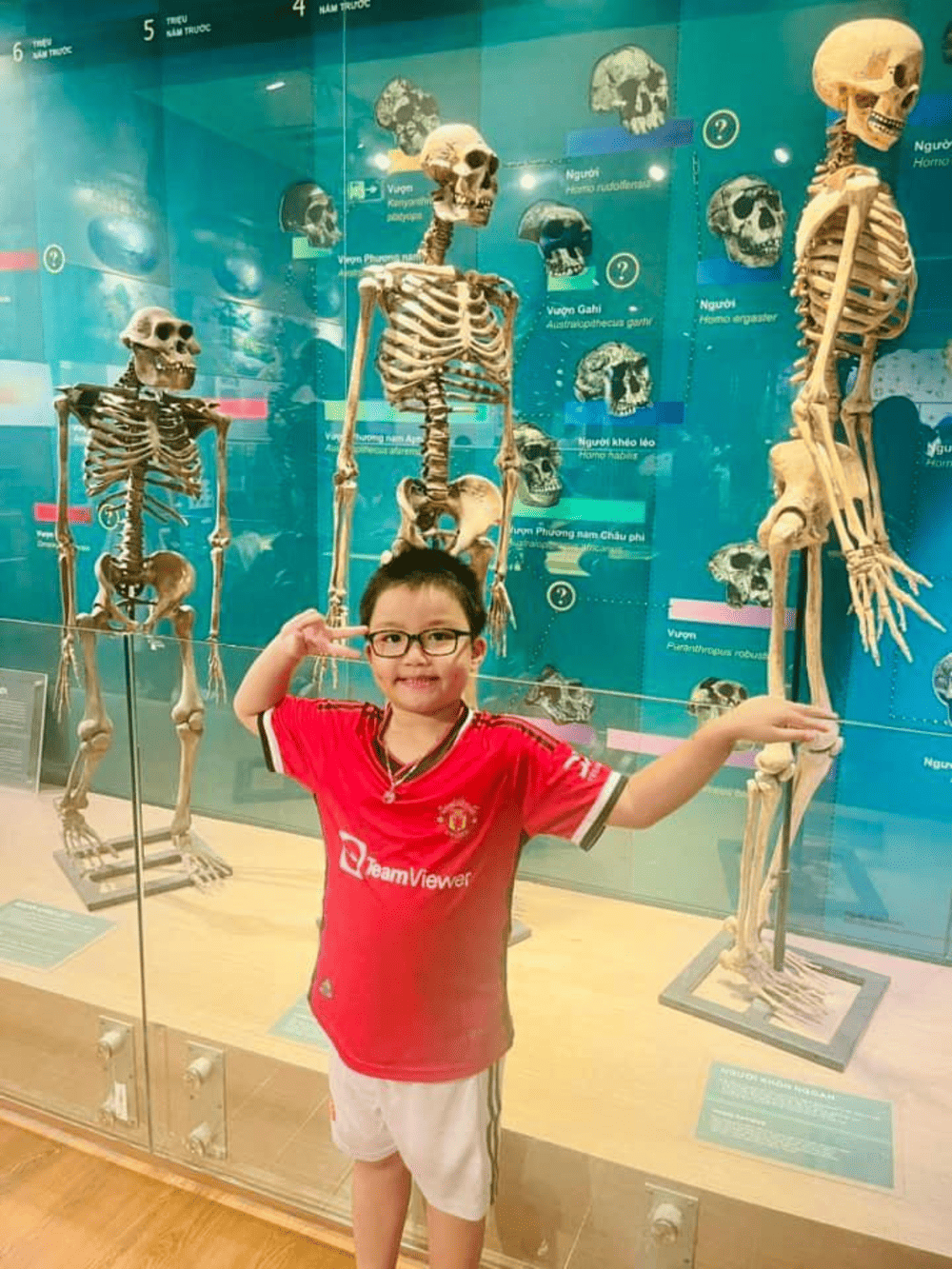 Bộ sưu tập sự tiến h&oacute;a của lo&agrave;i người tại Bảo t&agrave;ng thi&ecirc;n nhi&ecirc;n Việt Nam (Nguồn: Bảo t&agrave;ng Thi&ecirc;n nhi&ecirc;n Việt Nam)